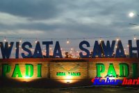 Wisata Sawah Padi-padi Desa Taman Kecamatan  Jrengik dok : (Abdul Hamid)