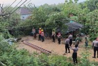 Rumah warga di Desa Tambelangan, Kecamatan Tambelangan, Kabupaten Sampang saat tertimpa pohon