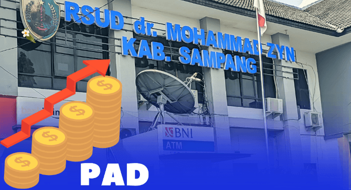 Ilustrasi capaian PAD RSUD dr. Muhammad Zyn Sampang.