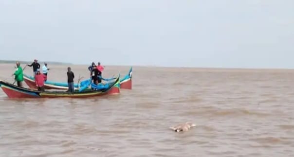 Warga dan tim Sar saat temukan warga yang hilang saat mencari udang