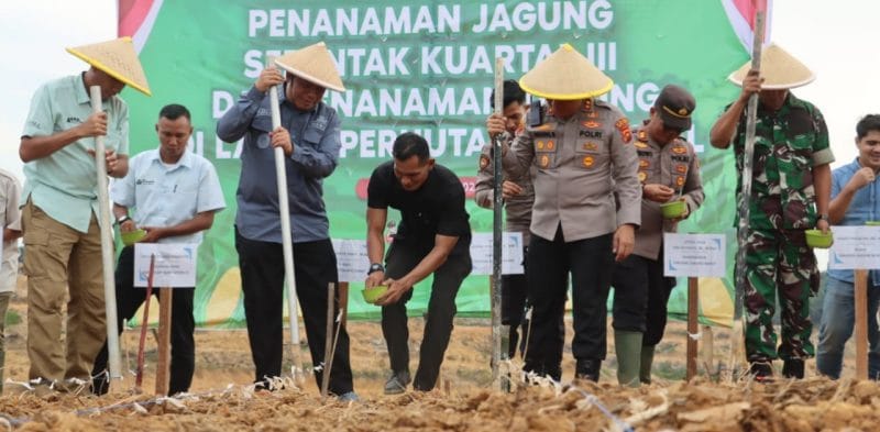 Kapolres tanjung jabung barat saat melakukan penanaman jagung serentak