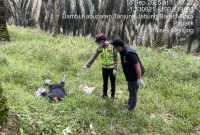 Seorang pria saat ditemukan dalam kondisi mati